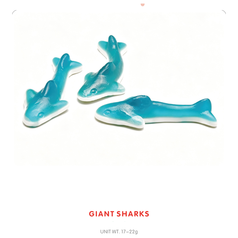 Giant Shark Gummy Candy main
